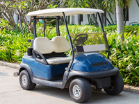 Golf Cart Transport